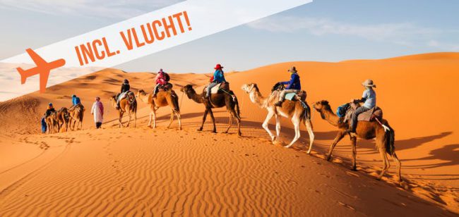 Dagaanbieding Marrakech + Sahara -