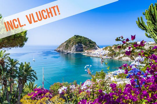 Dagaanbieding Ontdek Ischia & Napels -