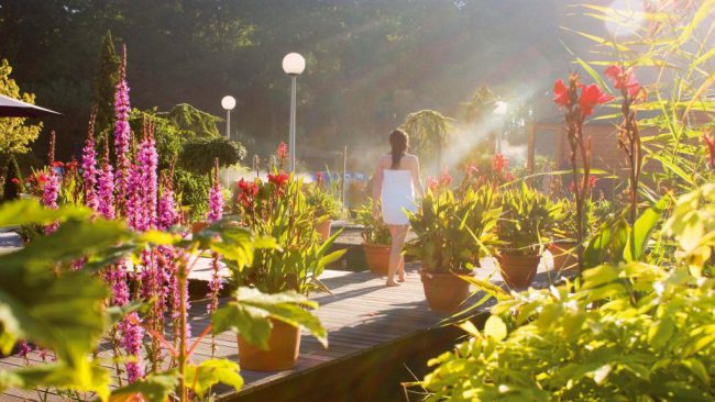 Dagaanbieding 2 of 3 dagen nabij Rotterdam incl. entree wellnessresort Elysium Dagaanbieding 2 of 3 dagen nabij <b>Rotterdam</b> incl. entree wellnessresort Elysium