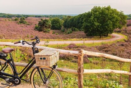 Dagaanbieding 3 dagen 4*-hotel op de Veluwe incl. ontbijt
