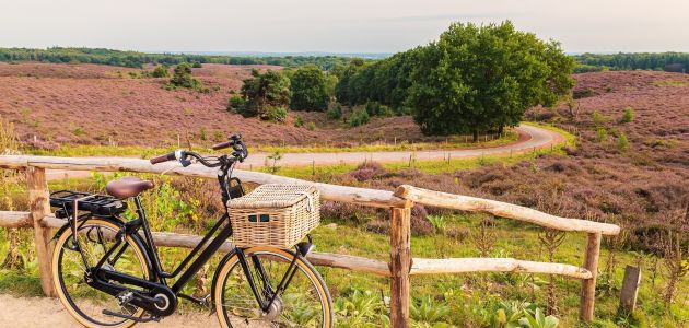 Dagaanbieding 3 dagen 4*-hotel op de Veluwe incl. ontbijt