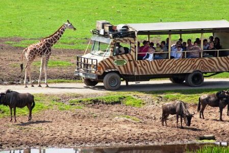 Dagaanbieding 3 dagen halfpension 4*-hotel in Neder-Saksen incl. entree dierenpark Serengeti-Park