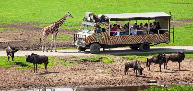 Dagaanbieding 3 dagen halfpension 4*-hotel in Neder-Saksen incl. entree dierenpark Serengeti-Park
