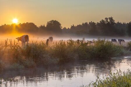 Dagaanbieding 3 of 5 dagen Borne in hartje Twente en nabij Enschede incl. 3-gangendiner en fietshuur