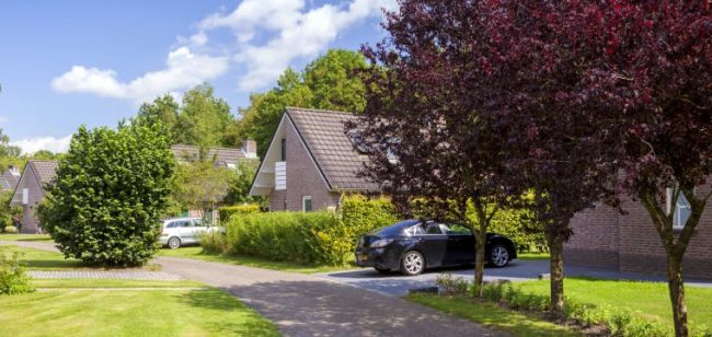 Dagaanbieding De Sallandse Heuvelrug - Nieuw Heeten Nederland