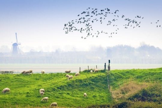 Dagaanbieding Genieten in Zeeland - Aardenburg Nederland