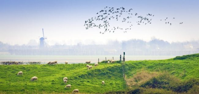 Dagaanbieding Genieten in Zeeland - Aardenburg Nederland