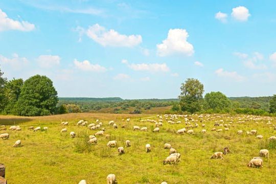 Dagaanbieding Ontspan in Zuid-Limburg - Kerkrade Nederland