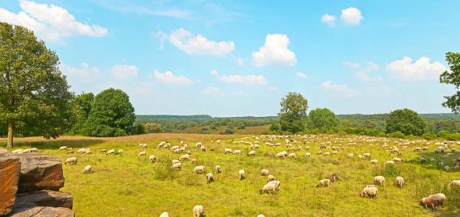 Dagaanbieding Ontspan in Zuid-Limburg - Kerkrade Nederland