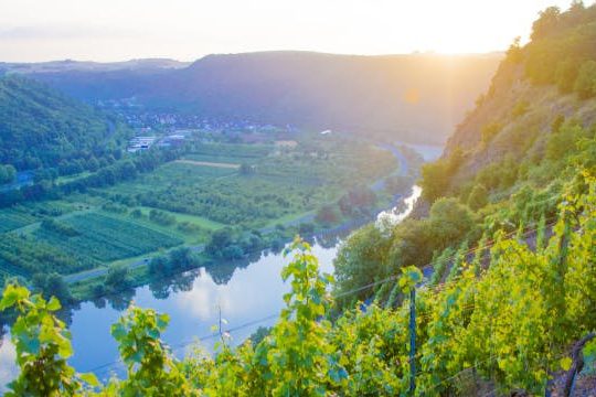 Dagaanbieding Romantisch Moezeldal - Kröv Duitsland