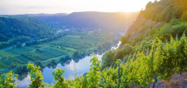 Dagaanbieding Romantisch Moezeldal - Kröv Duitsland