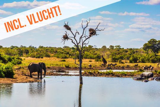 Dagaanbieding Rondreis Zuid-Afrika -
