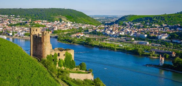 Dagaanbieding 3 of 4 dagen aan de Rijn in wijnstad Rüdesheim o.b.v. halfpension