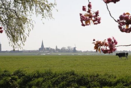 Dagaanbieding 2 of 3 dagen in een uniek hotelhuisje aan het IJsselmeer in Medemblik incl. ontbijt