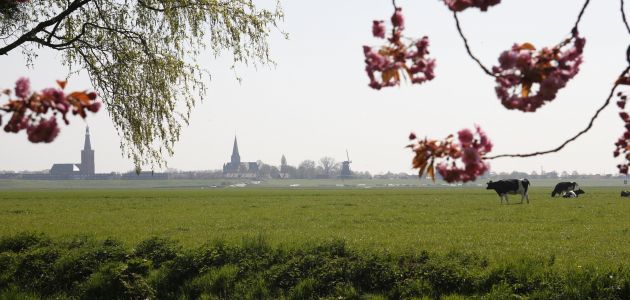 Dagaanbieding 2 of 3 dagen in een uniek hotelhuisje aan het IJsselmeer in Medemblik incl. ontbijt