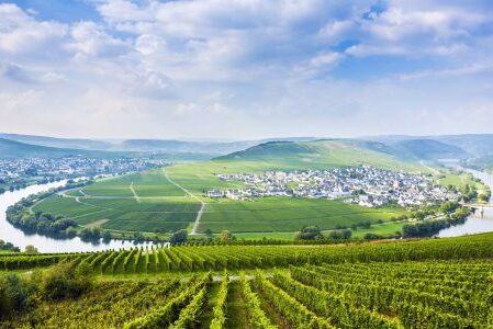 Dagaanbieding 3 of 4 dagen volop genieten bij de Moezel o.b.v. halfpension