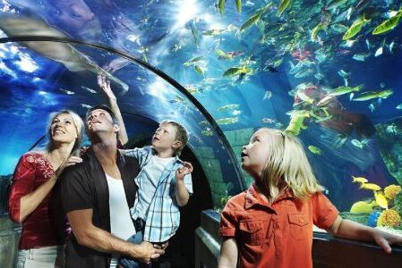 Dagaanbieding Ontdek Legoland en SEA LIFE met het hele gezin incl. overnachting bij Düsseldorf