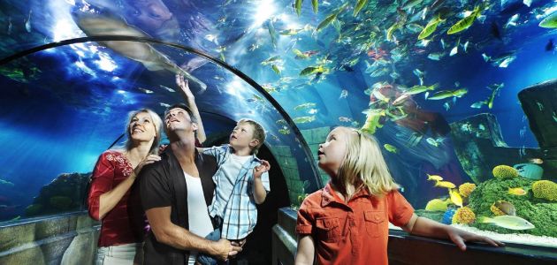 Dagaanbieding Ontdek Legoland en SEA LIFE met het hele gezin incl. overnachting bij Düsseldorf