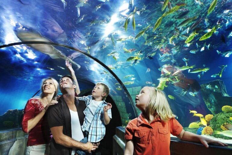 Dagaanbieding Ontdek <b>Legoland</b> en <b>SEA LIFE</b> met het hele gezin incl. overnachting bij Düsseldorf