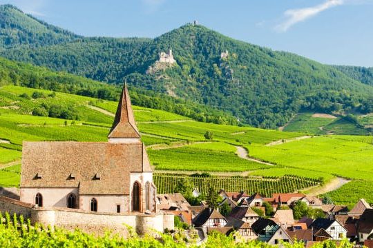 Dagaanbieding Proef de Franse Elzas -