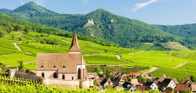 Dagaanbieding Proef de Franse Elzas -