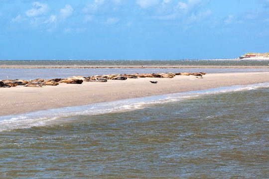Dagaanbieding Weelde aan de Waddenzee - Pieterburen Nederland