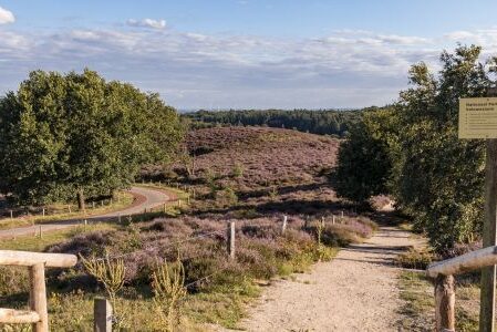 Dagaanbieding 3 dagen 4*-hotel bij N.P. Veluwezoom incl. ontbijt en vrij gebruik van het zwembad