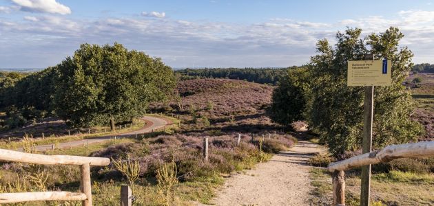 Dagaanbieding 3 dagen 4*-hotel bij N.P. Veluwezoom incl. ontbijt en vrij gebruik van het zwembad