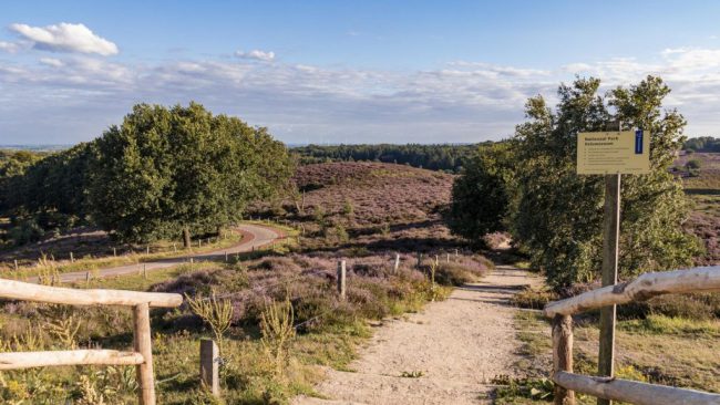 Dagaanbieding 3 dagen 4*-hotel bij N.P. Veluwezoom incl. ontbijt en vrij gebruik van het zwembad Dagaanbieding 3 dagen 4*-hotel bij <b>N.P. Veluwezoom</b> incl. ontbijt en vrij gebruik van het zwembad