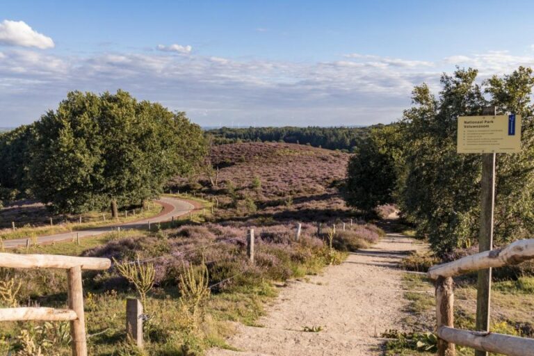 Dagaanbieding 3 dagen 4*-hotel bij <b>N.P. Veluwezoom</b> incl. ontbijt en vrij gebruik van het zwembad