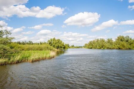 Dagaanbieding 3 dagen 4*-hotel in Noord-Brabant aan de rand van NP. De Biesbosch incl. rondvaart