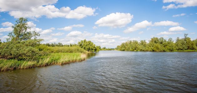 Dagaanbieding 3 dagen 4*-hotel in Noord-Brabant aan de rand van NP. De Biesbosch incl. rondvaart