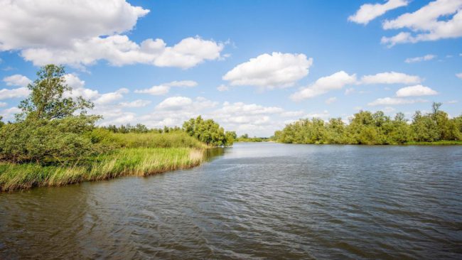 Dagaanbieding 3 dagen 4*-hotel in Noord-Brabant nabij Breda en aan de rand van NP. De Biesbosch incl. rondvaart Dagaanbieding 3 dagen 4*-hotel in <b>Noord-Brabant</b> nabij Breda en aan de rand van NP. De Biesbosch incl. rondvaart
