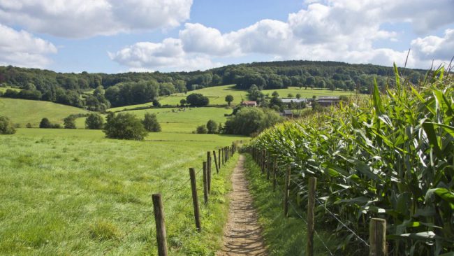 Dagaanbieding 3 dagen in het Limburgse Heuvelland o.b.v. halfpension Dagaanbieding 3 dagen in het <b>Limburgse Heuvelland</b> o.b.v. halfpension