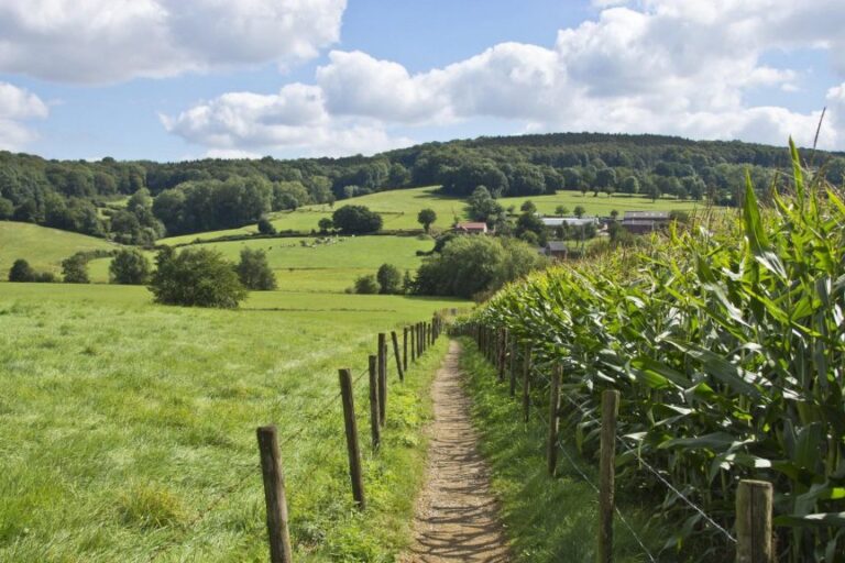 Dagaanbieding 3 dagen in het <b>Limburgse Heuvelland</b> o.b.v. halfpension