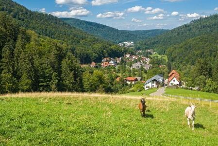 Dagaanbieding 3 of 4 dagen volpension in Marsberg Sauerland incl. leuke extra's!