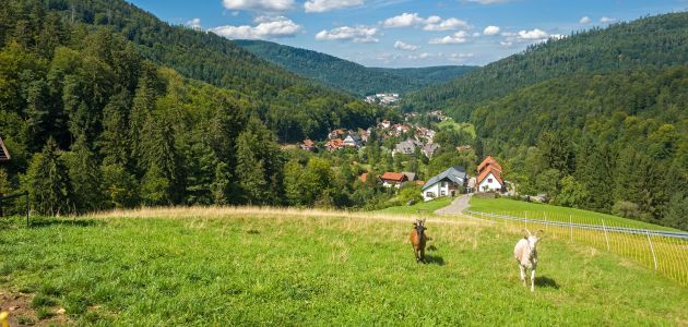 Dagaanbieding 3 of 4 dagen volpension in Marsberg Sauerland incl. leuke extra's!