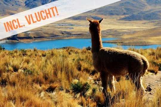 Dagaanbieding De hoogtepunten van Peru -