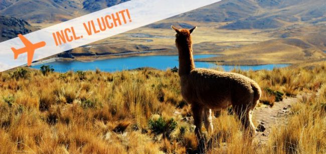 Dagaanbieding De hoogtepunten van Peru -