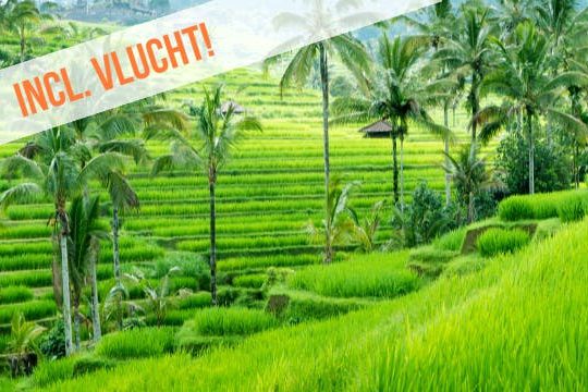 Dagaanbieding De magie van Bali -