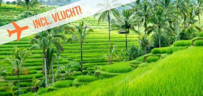 Dagaanbieding De magie van Bali -