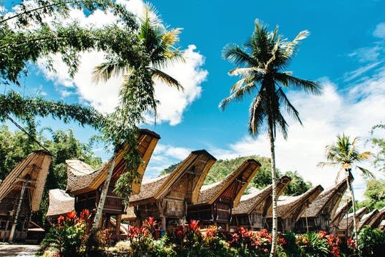 Dagaanbieding Hoogtepunten Indonesië -