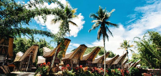Dagaanbieding Hoogtepunten Indonesië -