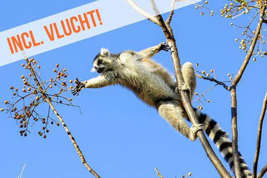 Dagaanbieding Hoogtepunten Madagaskar -