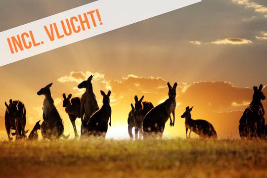 Dagaanbieding Rondreis Australië -
