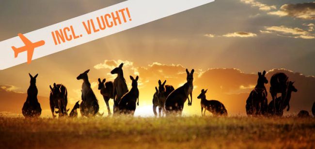Dagaanbieding Rondreis Australië -