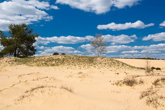 Dagaanbieding Arnhem en de Hoge Veluwe - Arnhem Nederland