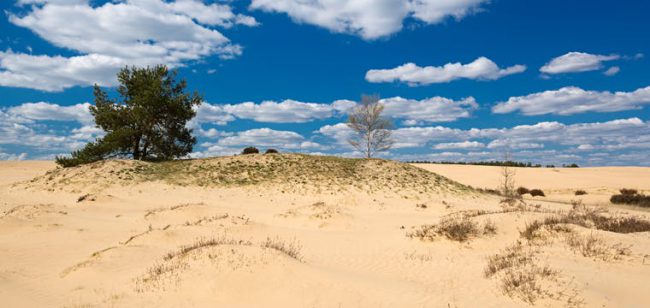 Dagaanbieding Arnhem en de Hoge Veluwe - Arnhem Nederland