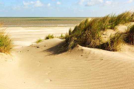 Dagaanbieding Fietsen in Knokke - Knokke-Heist België