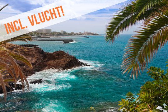 Dagaanbieding Gran Canaria -